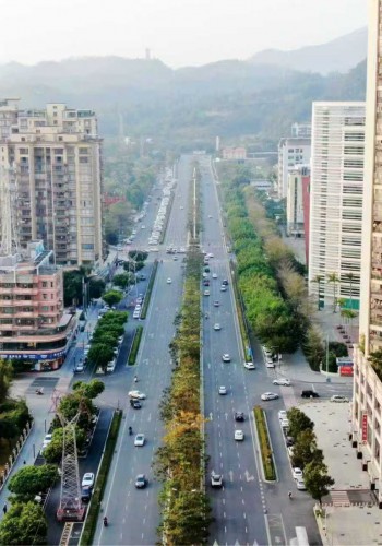 开平市城区道路品质提升改造工程（一期）